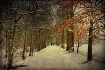 Enchanting Dutch Winterlandschape by Annie Snel - van der Klok