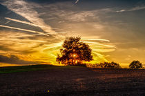 Sonnuntergang (Sunset) in Rodenberg, Niedersachsen von Oliver Frohnert