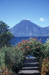 PATH TO THE VOLCANO Lake Atitlan Guatemala by John Mitchell