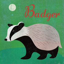 Badger by Benjamin Bay