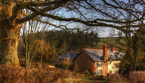 Devon Farmhouse  in the Valley  by Rob Hawkins