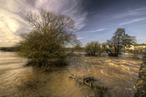 The Floods at Stoke Canon  von Rob Hawkins