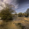 The-floods-at-stoke-canon