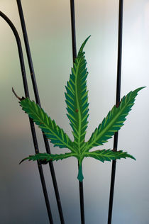 Marijuana Leaf Sign by John Mitchell