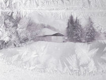 frozen winter world von Franziska Rullert