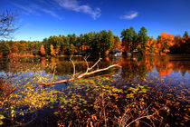 Autumn at Bomoseen Lake  von Rob Hawkins