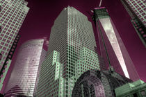 World Financial Centre in pink  by Rob Hawkins