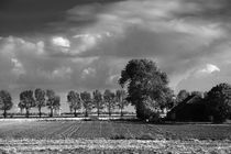 Herbst in Schwarzweiß - Autumn in black and white by ropo13