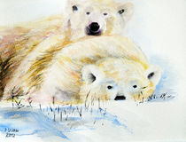 Polarbären by Irina Usova