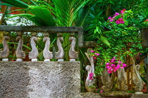 Steinmauer umrahmt einen Garten by Gina Koch