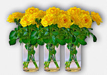 Yellow roses von Leopold Brix