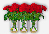 Red roses von Leopold Brix