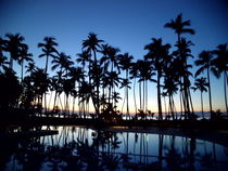 Sunset Palms, Rep. Dominicana by Tricia Rabanal