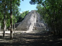  Mayan Pyramid,Coba, Mexico by Tricia Rabanal