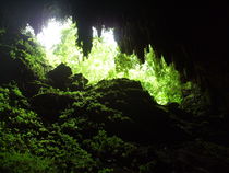  Cave,Camuy Puerto Rico by Tricia Rabanal