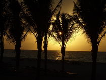 Sunrise Palms, Playa del Carmen-Mexico von Tricia Rabanal