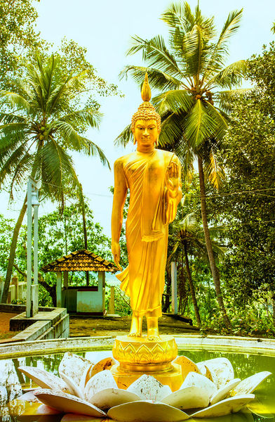 Golden-buddha