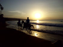 Sunset beach and horses, Samana von Tricia Rabanal