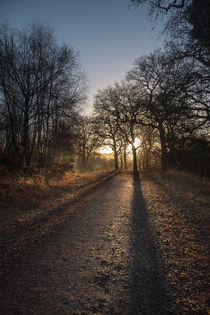 Cycle Path Sunrise by David Tinsley