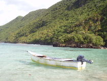Boat Beach of Naufrago, Caribbean, Samana, Republica Dominicana von Tricia Rabanal