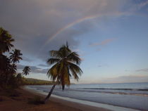 Rainbow Beach von Tricia Rabanal