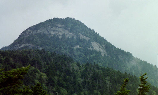 Knob-head-at-grandfathers-mountain