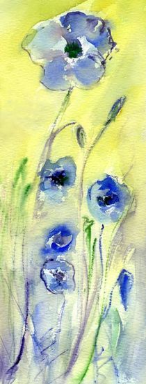 blaue Mohnblumen by claudiag