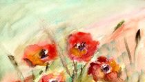 Mohn im Wind by claudiag