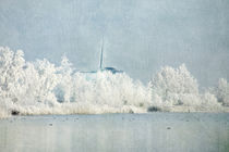 Snowy Trees by Annie Snel - van der Klok