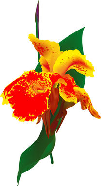 Exotische Blüte von Gina Koch