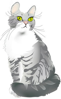 Graue Tigerkatze by Gina Koch