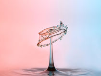 Wasser Pilz von Sven Wiemers