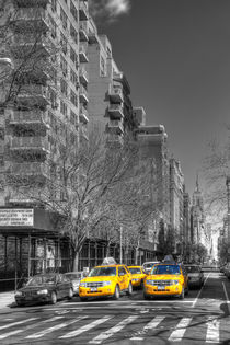 New York Cabs von David Tinsley