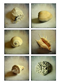 Haus im Meer - Collage von Daniela Weber