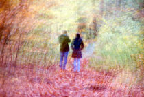 Couple in forest von fraenks