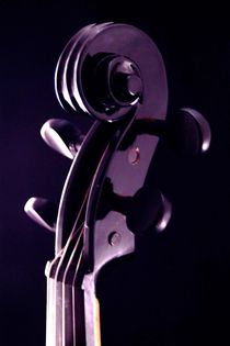 Schwarze Geige by aidao
