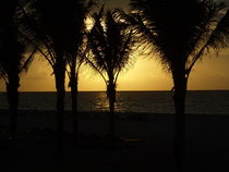 Sunrise Palms, Playa del Carmen Mexico von Tricia Rabanal