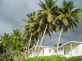 Puerto-rico-2011-220