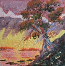 Cypress Sun by Warren Thompson