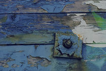 Schraube in blau von Fernand Reiter