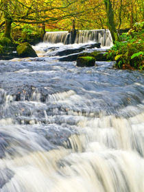 Waterfall, Garnwent Forestry Centre  von Hazel Powell