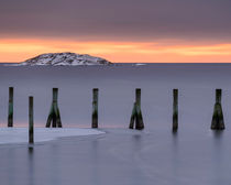 Wooden pilings  by Mikael Svensson