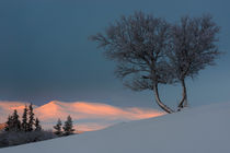 Sunrise  von Mikael Svensson