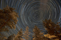 Startrails over forest by Mikael Svensson