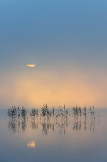 Sunrise in the mist by Mikael Svensson