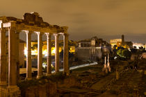 Roman Forum, Rome, Italy by Evren Kalinbacak
