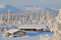 Winter magic by Mikael Svensson