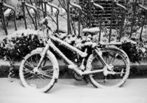 Bicycle in the snow von Victoria Savostianova