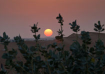 Sunset in the desert by Victoria Savostianova
