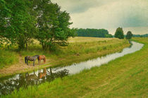 Landschaft mit Pferden by pahit